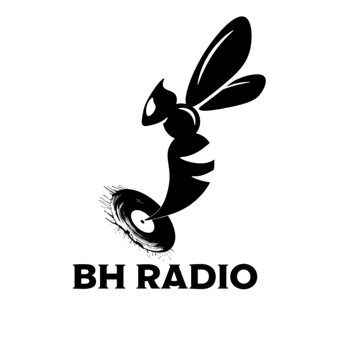 Black Hornet Rádio